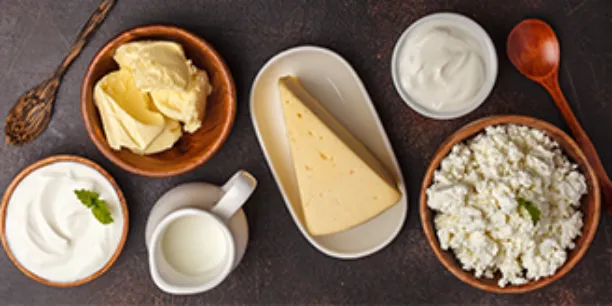 Produkte Käse, Milch Joghurt