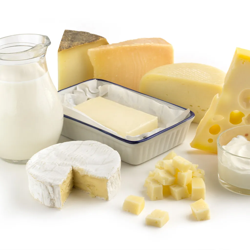 Zu sehen ist eine Auswahl an Molkereiprodukten: frische Milch, Weichkäse und weitere Käsesorten