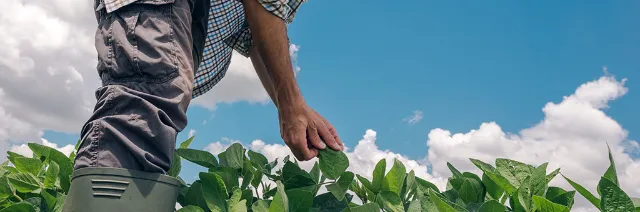 Nachhaltige Verantwortung - ein Bauer erntet ein Feld 